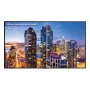 Sharp 8M-B120C LCD 120" 8K Professional Display