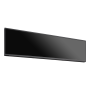 Monitor MultiSync® BT421
