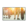 Monitor MultiSync® V654Q PG