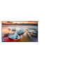 Monitor reklamowy Samsung QP98R-8K