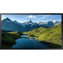 Monitor Samsung Monitor wielkoformatowy 55 cali OH55A-S LH55OHAESGBXEN